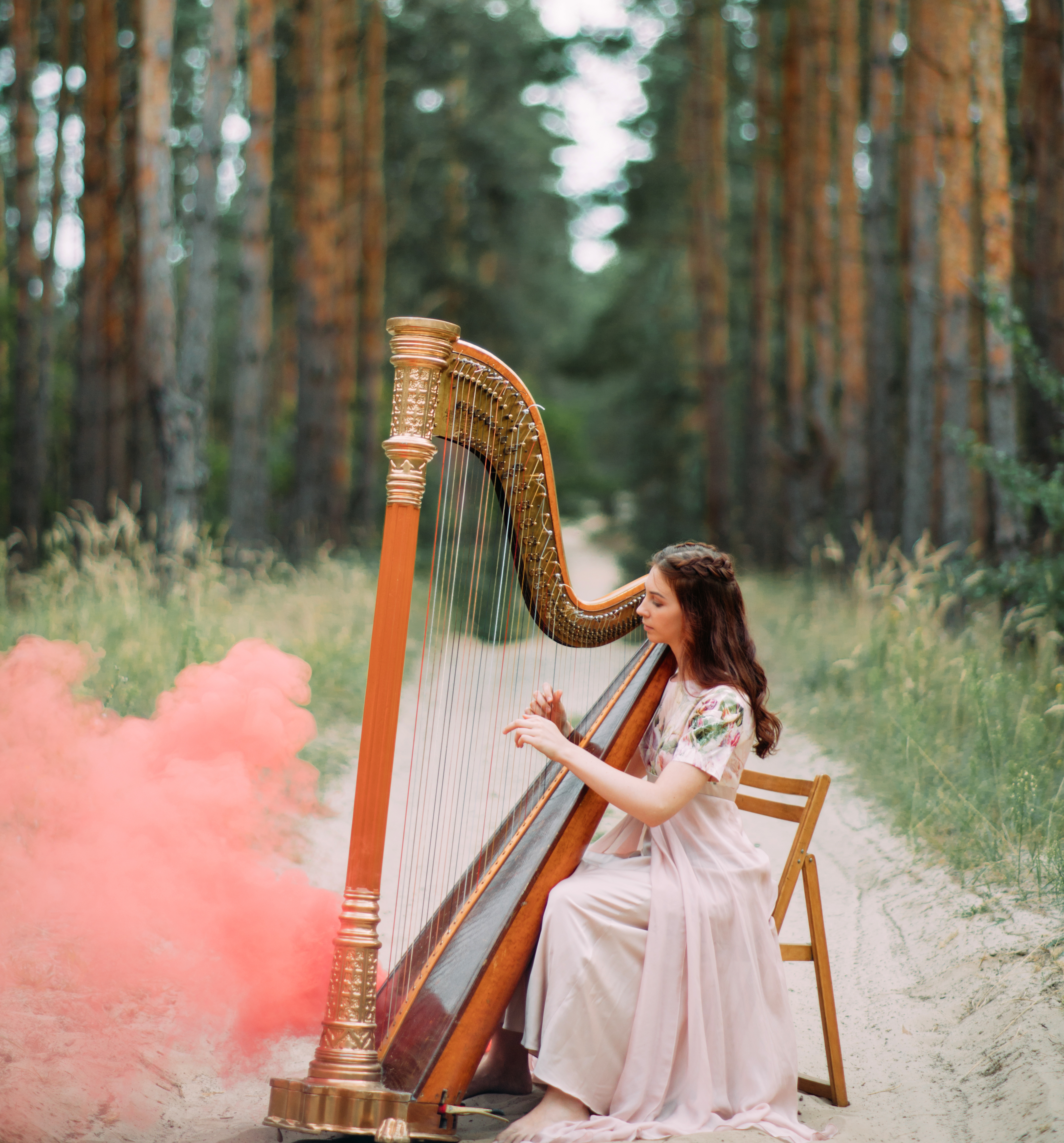 Professional harpist
