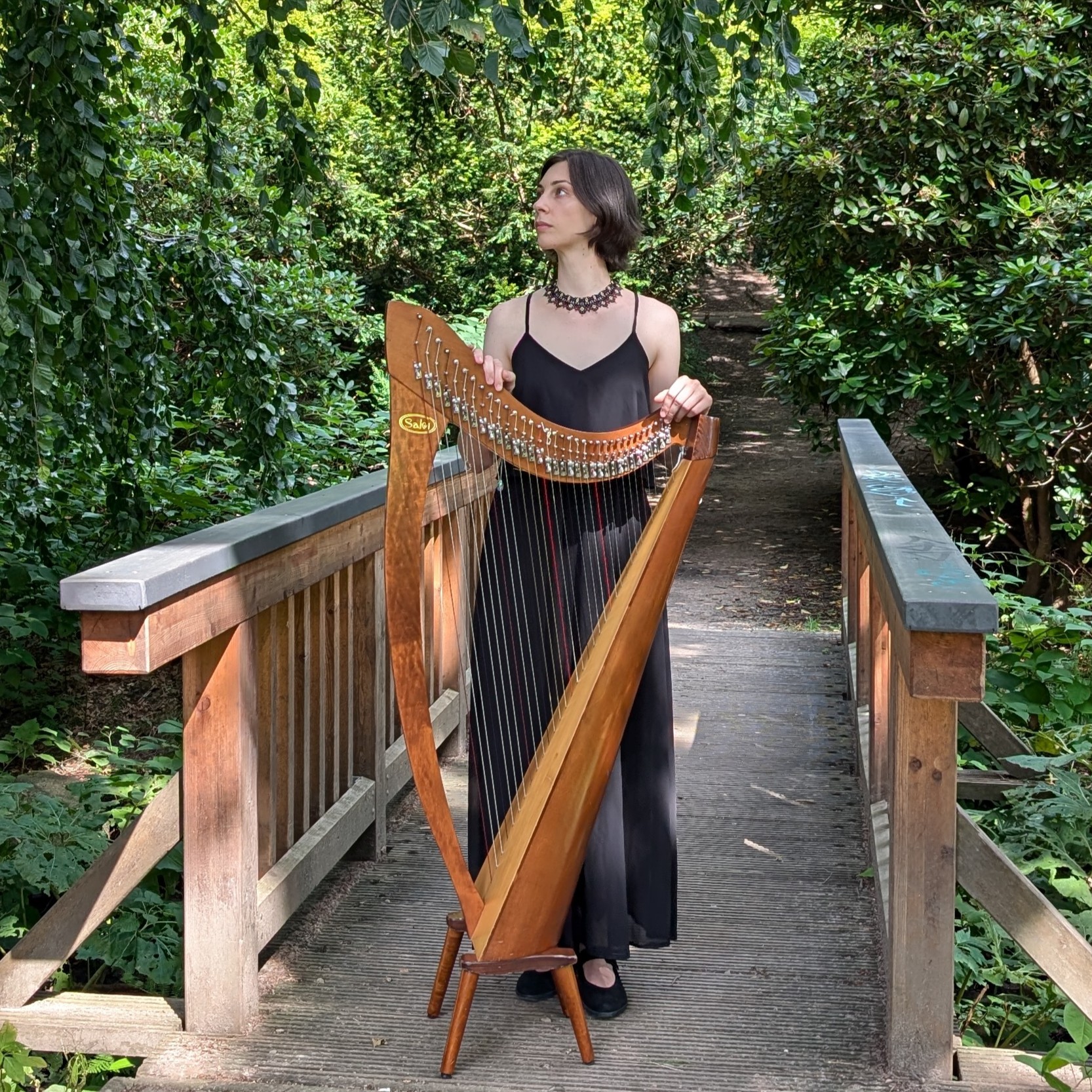 Medium lever harp