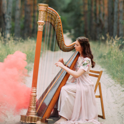 Classical pedal harp