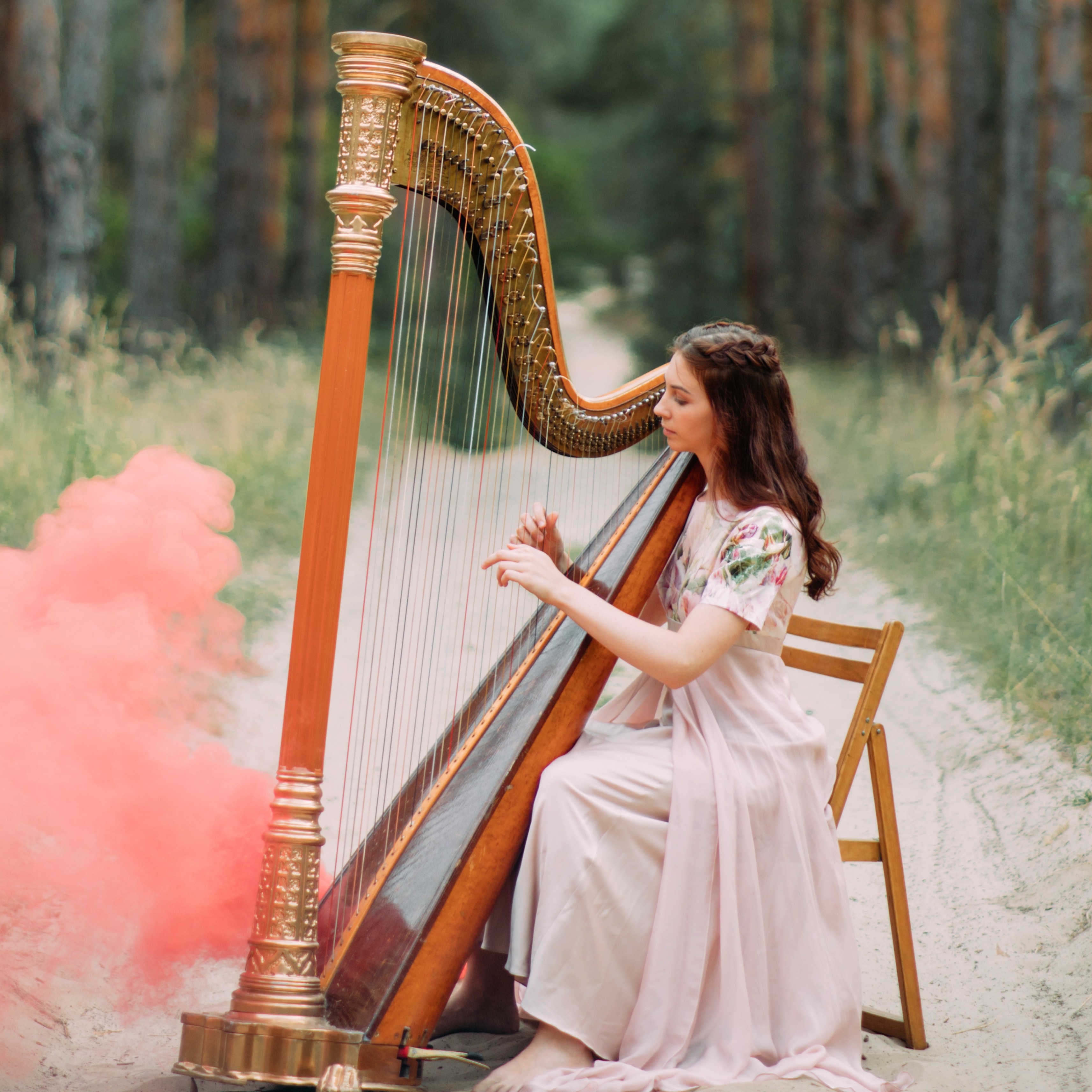 Classical pedal harp